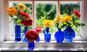 "Summer's Glory", hand-glazed pigment print by Anita Winstanley Roark